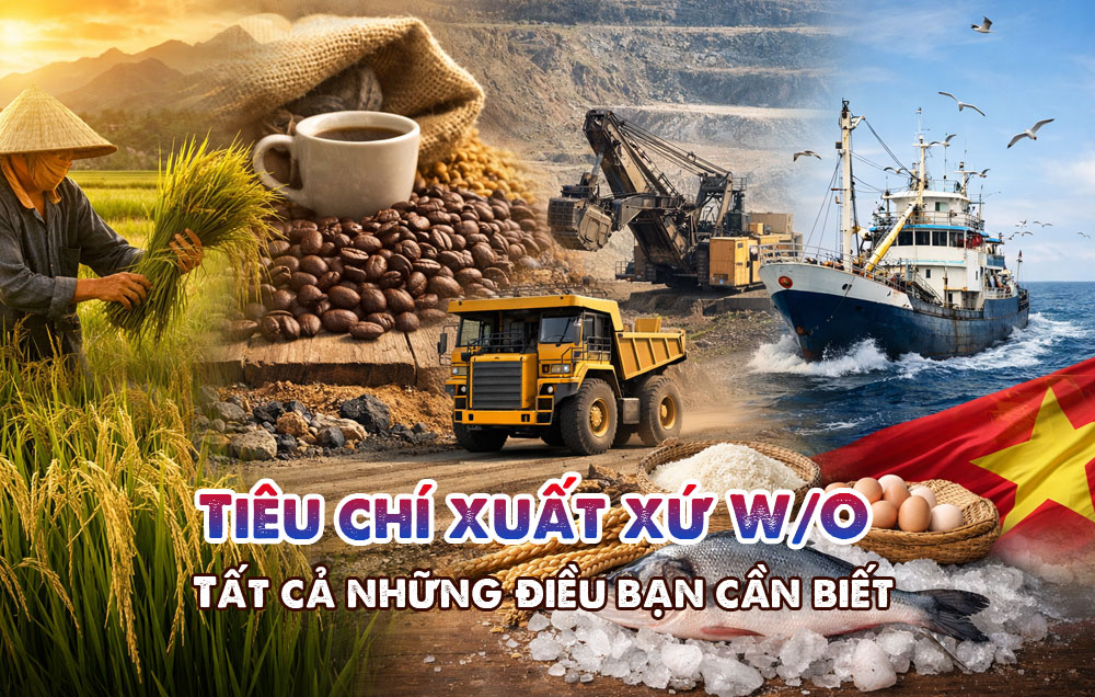 Tiêu chí xuất xứ WO Trong C/O là gì? Tất cả những điều bạn cần biết
