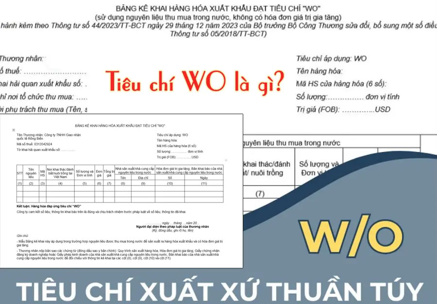 Tiêu chí WO (Wholly Obtained)